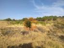 Acheter Terrain 32767 m2 CASTRO-MARIM