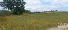 Annonce Vente Terrain FUNDAO