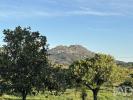 Annonce Vente Terrain IDANHA-A-NOVA