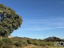 Acheter Terrain IDANHA-A-NOVA r�gion CASTELO-BRANCO
