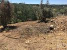 Acheter Terrain 1800 m2 MACAO