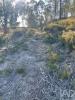Acheter Terrain PAREDES r�gion AVEIRO