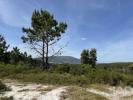 Acheter Local commercial 25 m2 ALENQUER