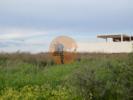 Acheter Terrain 3726 m2 TAVIRA