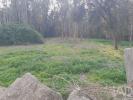 Vente Terrain VILA-NOVA-DE-FAMALICAO 4760