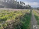 Annonce Vente Terrain VILA-NOVA-DE-FAMALICAO