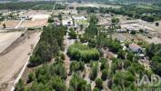 Acheter Terrain 16390 m2 BENAVENTE