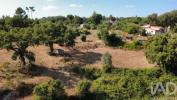 Annonce Vente Terrain TABUA
