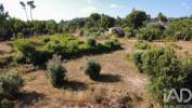 Acheter Terrain TABUA r�gion COIMBRA