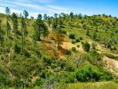 Acheter Terrain 19597 m2 TAVIRA
