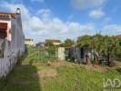 Annonce Vente Terrain ALMEIRIM