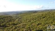 Vente Terrain OUREM 2490