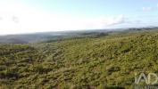 Annonce Vente Terrain OUREM