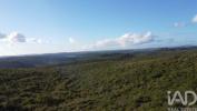 Acheter Terrain 32767 m2 OUREM
