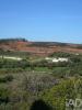 Acheter Terrain 23320 m2 LAGOS