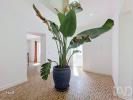 Vente Maison ELVAS 7350