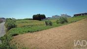 Annonce Vente Terrain ALCOBACA