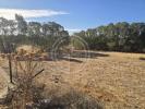 Acheter Terrain FARO r�gion FARO