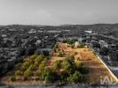 Annonce Vente Maison LOULE