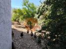 Acheter Maison CASTRO-MARIM r�gion FARO