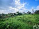 Acheter Terrain 3665 m2 SANTAREM