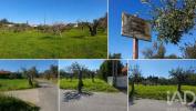 Annonce Vente Terrain TORRES-NOVAS
