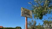 Acheter Terrain 4360 m2 TORRES-NOVAS