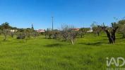 Acheter Terrain TORRES-NOVAS r�gion SANTAREM