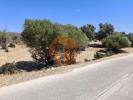 Acheter Terrain 2500 m2 CASTRO-MARIM