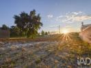 Annonce Vente Terrain MARINHA-GRANDE