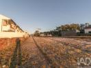 Acheter Terrain 4256 m2 MARINHA-GRANDE