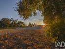 Acheter Terrain MARINHA-GRANDE r�gion LEIRIA