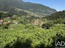 Annonce Vente Terrain SAO-VICENTE