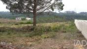 Acheter Terrain COIMBRA r�gion LEIRIA