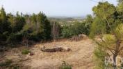 Annonce Vente Terrain CASTELO-BRANCO
