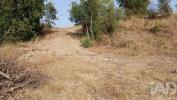 Acheter Terrain 800 m2 CASTELO-BRANCO