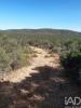 Acheter Terrain 32767 m2 ALBUFEIRA