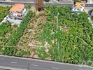 Annonce Vente Terrain RIBEIRA-BRAVA