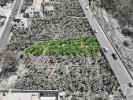 Acheter Terrain 493 m2 RIBEIRA-BRAVA