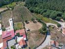 Acheter Terrain ALCOBACA r�gion LEIRIA