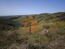 Acheter Terrain 21840 m2 CASTRO-MARIM