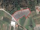 Vente Terrain LEIRIA 2400
