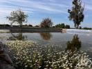 Acheter Maison VIANA-DO-ALENTEJO r�gion EVORA