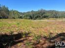 Acheter Terrain ESPOSENDE r�gion BRAGA