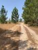 Acheter Terrain PALMELA r�gion SETUBAL