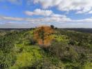 Annonce Vente Terrain CASTRO-MARIM
