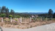 Acheter Terrain 1902 m2 PEDROGAO-GRANDE