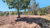 Acheter Terrain PEDROGAO-GRANDE r�gion LEIRIA
