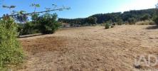 Acheter Terrain 2222 m2 PEDROGAO-GRANDE