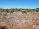 Acheter Terrain 4370 m2 LOULE